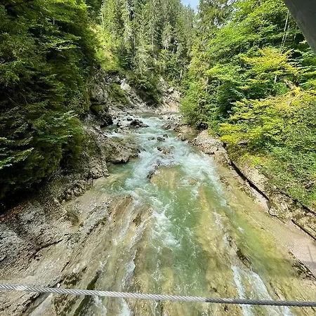 Untergruebelhof شقة *