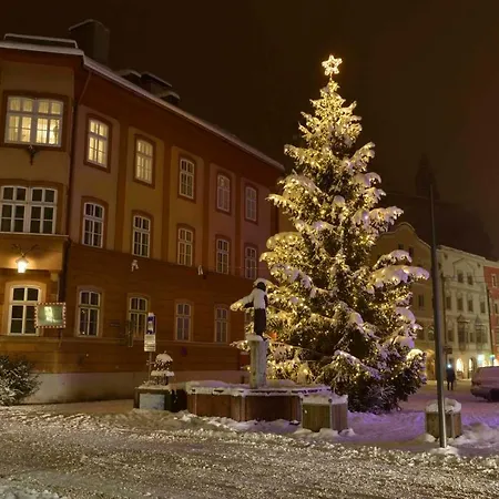 Apartment Untergrübelhof